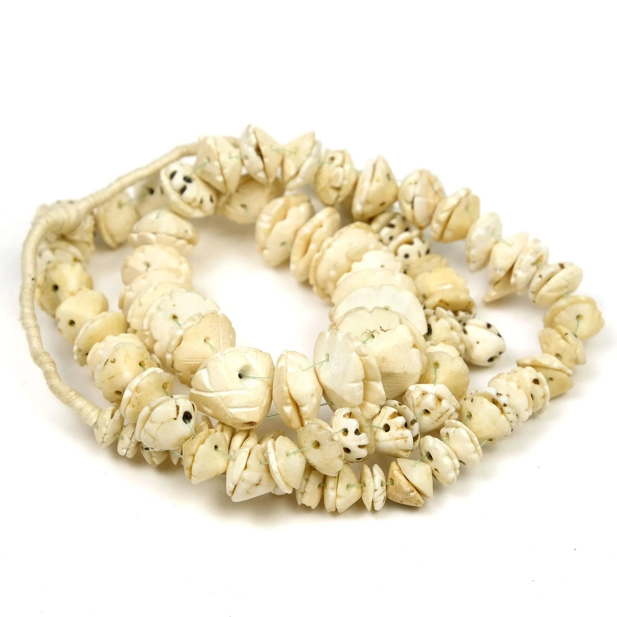 19th Century Conus Dowry Shell Beads