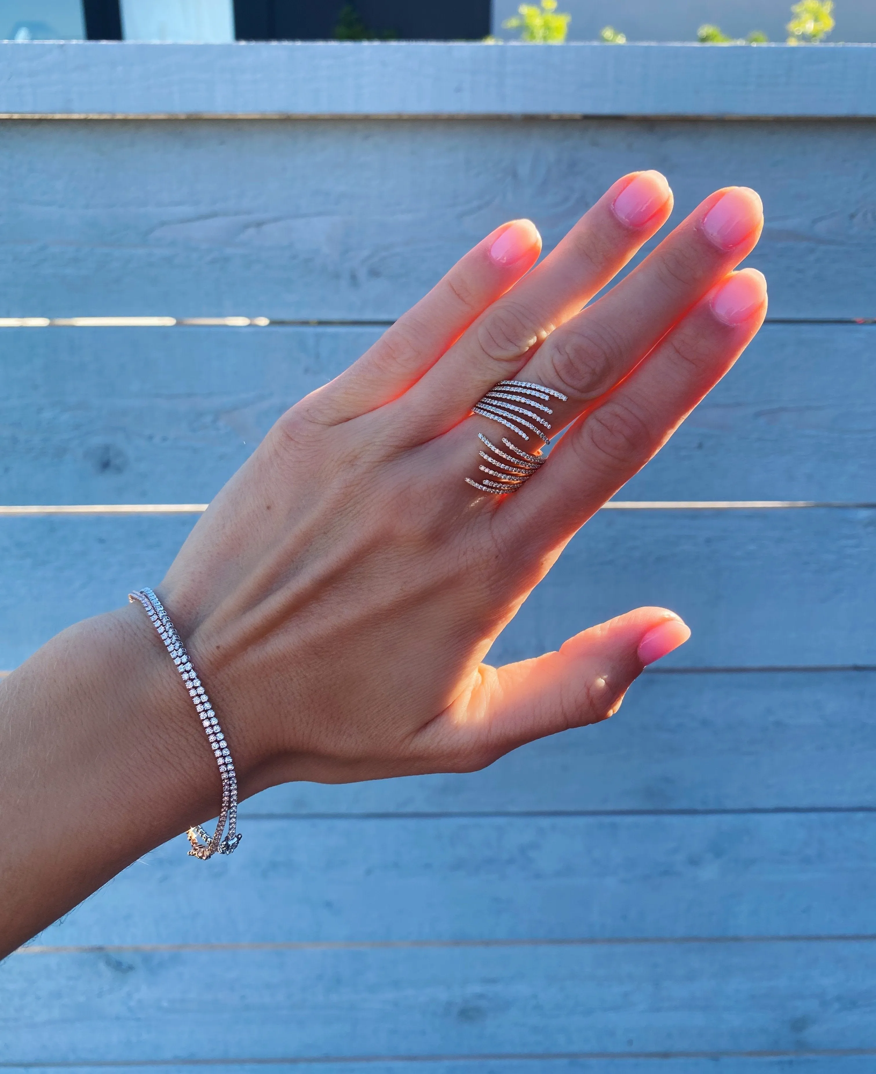 Halley Ring