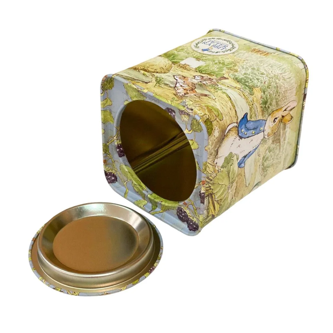Peter Rabbit Money Box