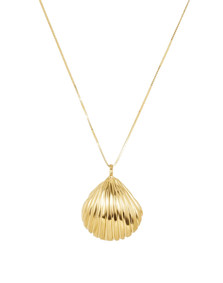 Venus Seashell Necklace