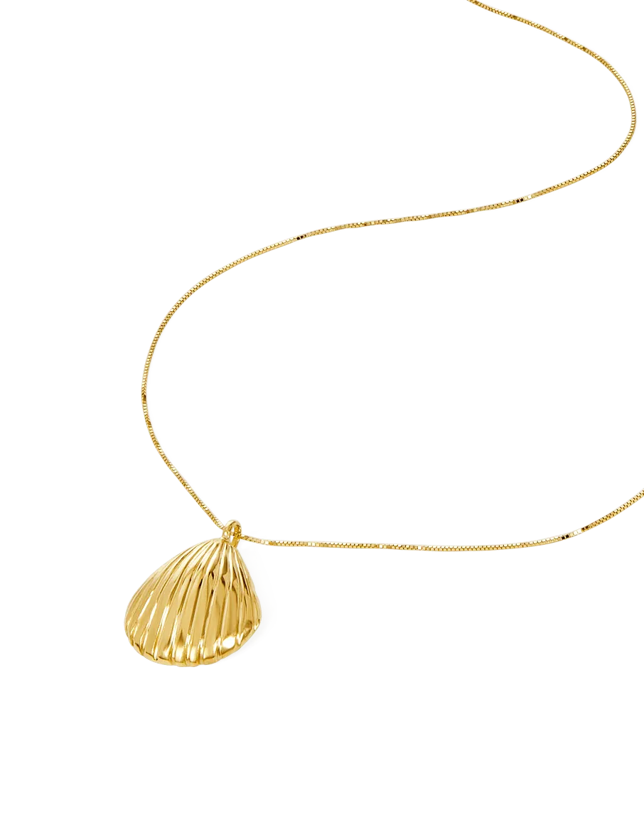 Venus Seashell Necklace